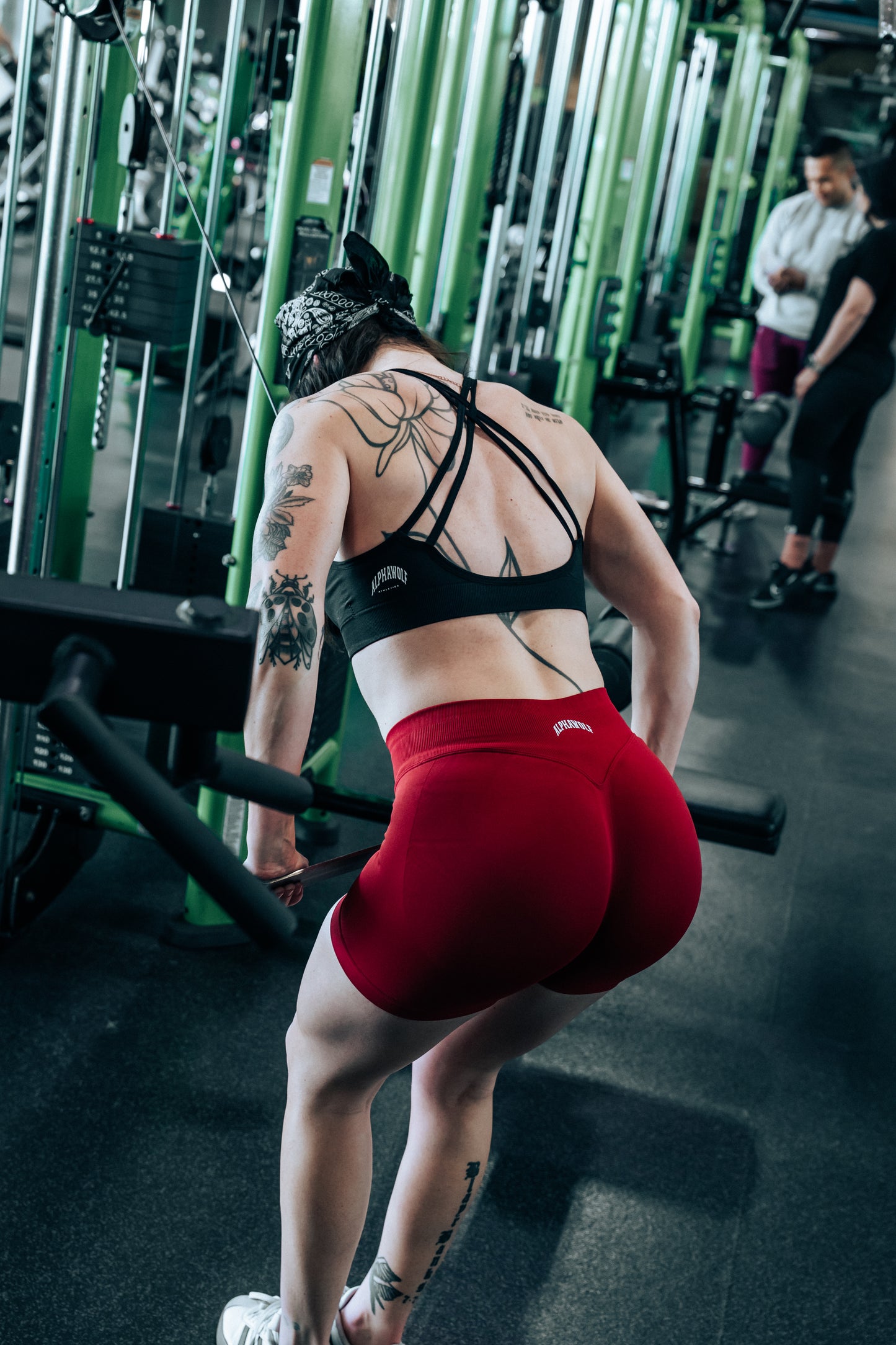 Alphawolf high waist shorts